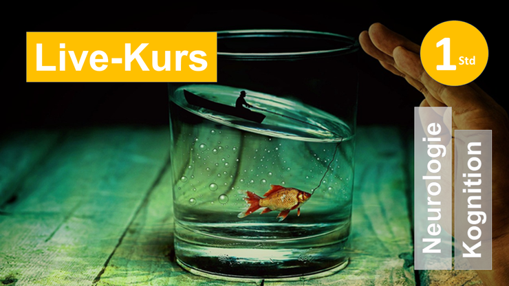 Sie sehen ein Whiskeyglas mit Wasser, einem Goldfisch und schiefem Wasserspiegel als Assoziation zum Webseminar über Drucksymptomatik für Ergotherapie + Physiotherapie in der Rehabilitation von Schlaganfall + Apoplex in Klinik + Praxis